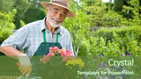  Presentation with gardening for health - Cool new PPT theme with yard work - portrait of senior man gardening backdrop and a tawny brown colored foreground