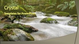  Presentation with ferns - PPT layouts featuring yarra ranges victoria australia bridge background and a tawny brown colored foreground