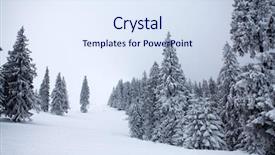  Presentation with christmas new year frame banner - PPT theme featuring year background with winter tree background and a sky blue colored foreground