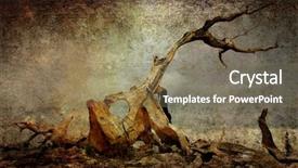  Presentation with pine - PPT layouts having year old bristolcone pine tree background and a violet colored foreground