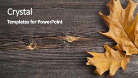  Presentation with autumn leaves - Presentation design enhanced with yellow abstract - autumn leaves over wooden board background and a dark gray colored foreground