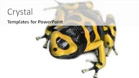  Presentation with black yellow - Slide deck consisting of  background and a  colored foreground