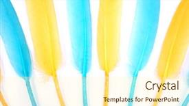  Presentation with blue white and yellow - Slide deck having yellow and blue feathers background and a cream colored foreground