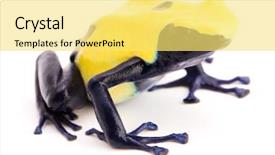  Presentation with poison - Cool new presentation design with yellow and blue poison dart backdrop and a yellow colored foreground