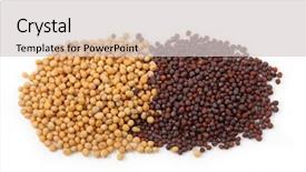  Presentation with mustard yellow - Beautiful presentation theme featuring yellow and brown mustard seeds backdrop and a light gray colored foreground