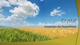  Presentation with yellow green - Slide deck with yellow-and-green-meadow background and a  colored foreground