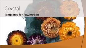  Presentation with yellow orange - Audience pleasing PPT layouts consisting of yellow-and-orange-flowers backdrop and a light gray colored foreground