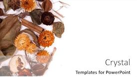  Presentation with yellow orange - Presentation theme consisting of yellow-and-orange-flowers background and a white colored foreground