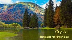  Presentation with yellow orange - PPT theme enhanced with yellow-and-orange-trees background and a tawny brown colored foreground