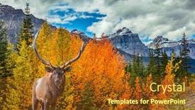 Presentation with road yellow - Audience pleasing presentation design consisting of yellow-and-red-autumn-leaves backdrop and a tawny brown colored foreground