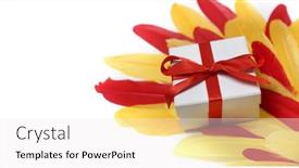  Presentation with red bow - Slide set having yellow-and-red-large-feathers background and a white colored foreground