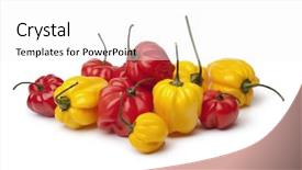  Presentation with scotch - Slide deck enhanced with yellow and red scotch bonnet background and a white colored foreground