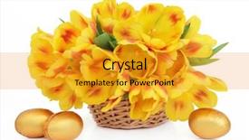  Presentation with golden yellow - Audience pleasing slide deck consisting of yellow and red tulip flower arrangement in an easter basket with golden chocolate eggs over white background backdrop and a gold colored foreground