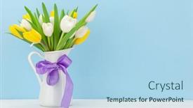  Presentation with blue tulip - Beautiful slide set featuring yellow-and-white-tulip-flowers backdrop and a light blue colored foreground