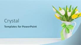  Presentation with blue tulip - Colorful theme enhanced with yellow-and-white-tulip-flowers backdrop and a light blue colored foreground