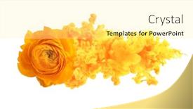  Presentation with smoke cloud - Slide set enhanced with yellow-anemone-flower-with-smoke background and a blonde colored foreground