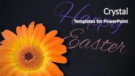  Presentation with stop violence against black women - Presentation theme having yellow animation - picture of a flower background and a wine colored foreground