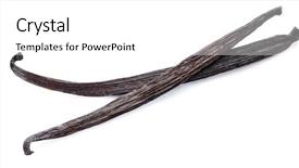  Presentation with vanilla - Beautiful presentation theme featuring yellow aroma - dried vanilla fruits isolated backdrop and a white colored foreground