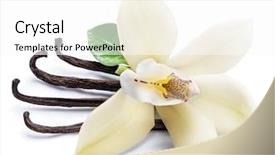  Presentation with vanilla - Beautiful slide deck featuring yellow aroma - dried vanilla sticks and orchid backdrop and a white colored foreground
