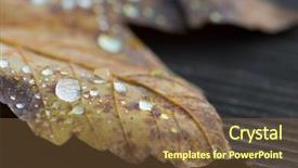  Presentation with water leaf - Cool new presentation with yellow autum leaf with raindrops backdrop and a  colored foreground