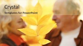  Presentation with autumn - Beautiful slides featuring yellow autumn leaf and lovely backdrop and a  colored foreground