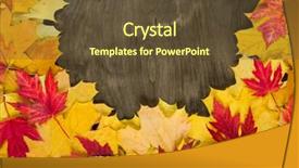  Presentation with yellow wood - Audience pleasing theme consisting of yellow autumn leaves frame backdrop and a tawny brown colored foreground