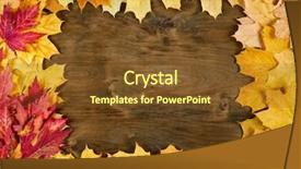  Presentation with frame border - Colorful PPT theme enhanced with yellow autumn leaves frame backdrop and a tawny brown colored foreground
