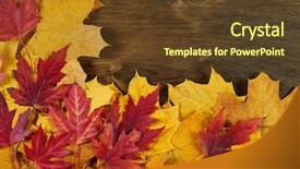  Presentation with frame border - Audience pleasing slide deck consisting of yellow autumn leaves frame backdrop and a tawny brown colored foreground