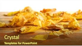  Presentation with autumn leaves - Presentation design enhanced with yellow autumn leaves on wooden background and a tawny brown colored foreground