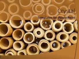 Yellow Bamboo Craft Background PPT template 38 | CrystalGraphics