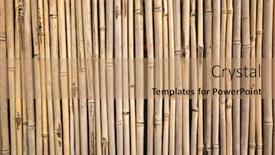  Presentation with bamboo - Presentation featuring yellow-bamboo-wall-background-traditional background and a coral colored foreground