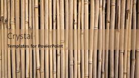  Presentation with bamboo - Slide deck featuring yellow-bamboo-wall-background-traditional background and a coral colored foreground