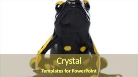  Presentation with bumblebee - Audience pleasing PPT theme consisting of bumblebee poison frog dendrobates backdrop and a tawny brown colored foreground