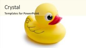  Presentation with duck - Theme featuring duckyu - yellow bath duck on white background and a white colored foreground