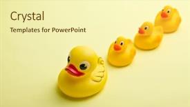  Presentation with duck - Slide set featuring yellow bath ducks on yellow background and a  colored foreground