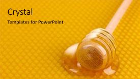  Presentation with honey bee - Colorful slides enhanced with yellow beautiful honeycomb and wooden backdrop and a light gray colored foreground