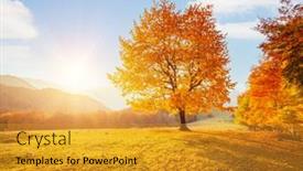  Presentation with hill - Cool new presentation theme with yellow-beech-tree backdrop and a gold colored foreground