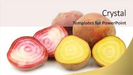  Presentation with red and yellow - Beautiful PPT layouts featuring yellow beets and red chioggia backdrop and a  colored foreground