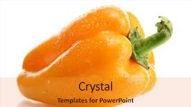  Presentation with pepper - Beautiful presentation featuring yellow bell pepper isolated backdrop and a gold colored foreground