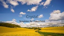  Presentation with oil production - Presentation design with yellow-blooming-rapeseed-field-canola background and a light blue colored foreground