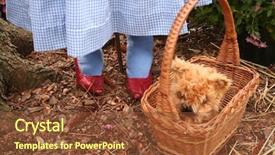  Presentation with brick - PPT theme with yellow brick road - ruby slippers and dog background and a tawny brown colored foreground