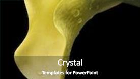  Presentation with calla - Audience pleasing theme consisting of water drops on black background backdrop and a black colored foreground