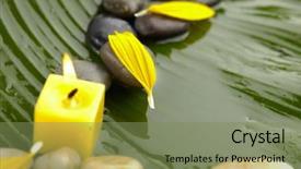  Presentation with yellow green - Cool new PPT theme with yellow candle on wet banana backdrop and a seafoam green colored foreground