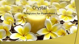  Presentation with bamboo flower - Presentation theme enhanced with old woman reading bible closeup background and a tawny brown colored foreground