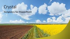  Presentation with agrarian - Slide deck enhanced with yellow canola field and blue background and a light blue colored foreground