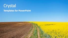  Presentation with agrarian - Slide set consisting of yellow canola field and blue background and a teal colored foreground