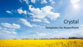  Presentation with global warming - Audience pleasing PPT theme consisting of yellow canola field in sunlight backdrop and a light blue colored foreground