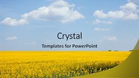  Presentation with global warming - PPT theme enhanced with yellow canola field in sunlight background and a light blue colored foreground