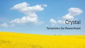 Presentation with global warming - Presentation design consisting of yellow canola field in sunlight background and a light blue colored foreground