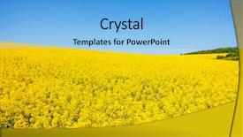  Presentation with global warming - Beautiful PPT theme featuring yellow canola field in sunlight backdrop and a light blue colored foreground